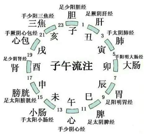 地支歌|十二经纳干支歌